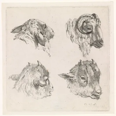 Vier koppen, van een ram en van geiten