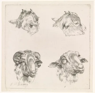 Vier koppen, van geiten en een ram