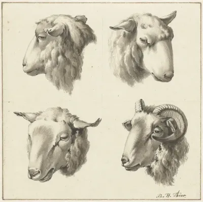 Vier koppen van schapen en bokken