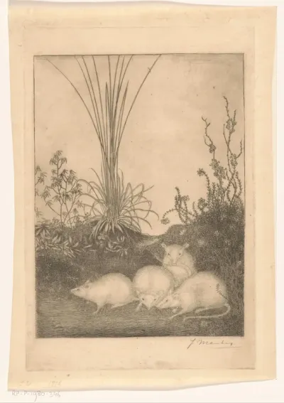 Vier muizen