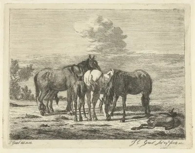 Vier paarden en twee veulens
