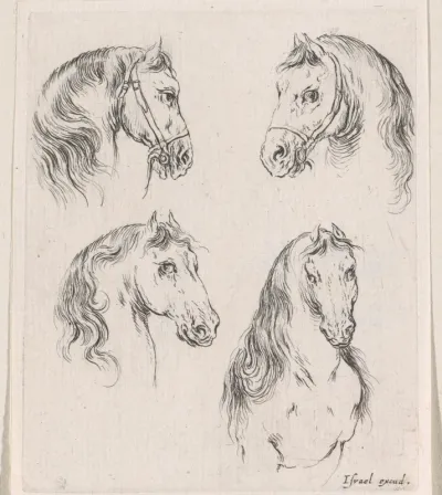 Vier paardenhoofden