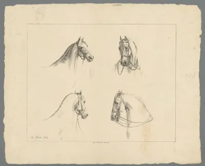 Vier paardenhoofden