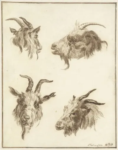 Vier studies van geitenkoppen