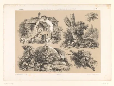 Vier studies van landschapselementen