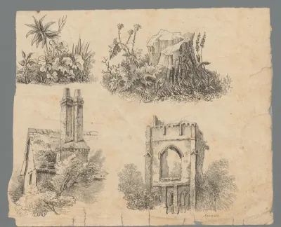 Vier studies van planten en gebouwen