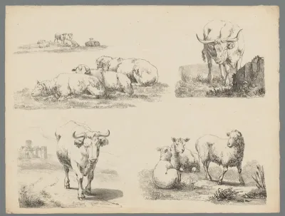 Vier studies van runderen en schapen