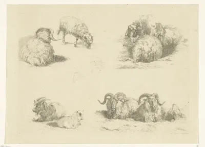 Vier voorstellingen met schapen en geiten