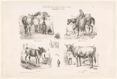 Vier voorstellingen van paarden en koeien