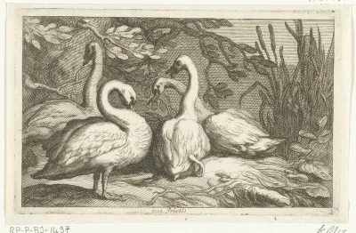 Vier zwanen