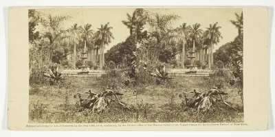 View at the Bishop's Garden, Havana, No. 16 from the series "Scenes in Cuba"
