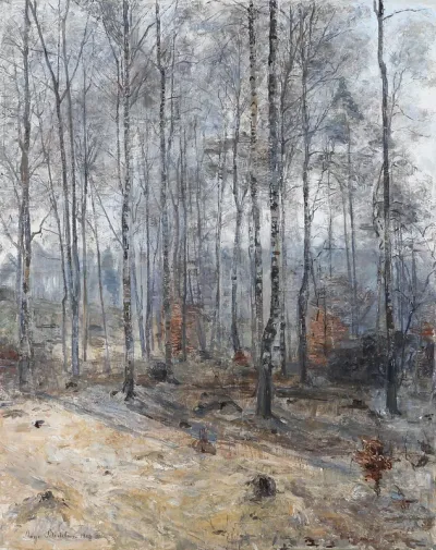 View from a forest with birch trees.