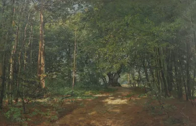 View from Ordrup Forest