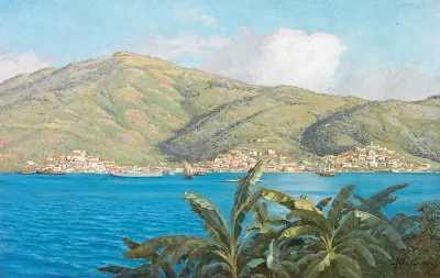 View from the Danish West Indies with ships and a town.