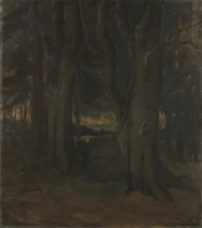 View in a forest
