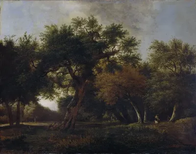 View in the Woods