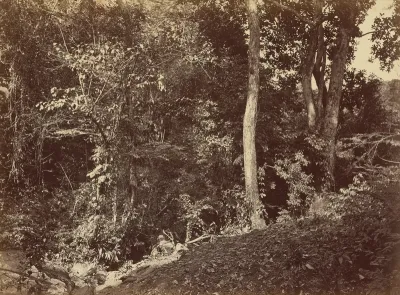 View Near Chipigana