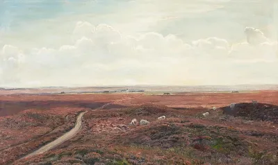 View of a heath landscape.