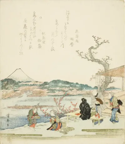 View of Mount Fuji from a tea house