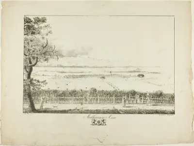 View of Mulhouse