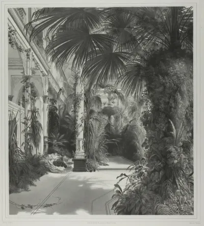 View of the Palm House on the Peacock-Island