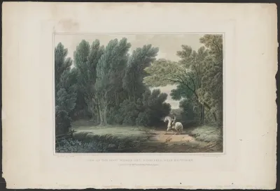 View of the Spot Where General Ross Fell, Near Baltimore