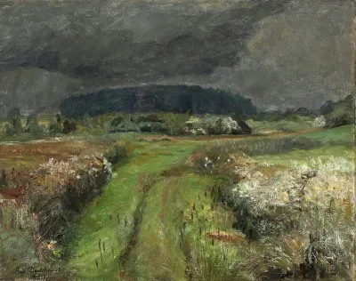 View towards Tornegaard Forest with a thunderstorm brewing.