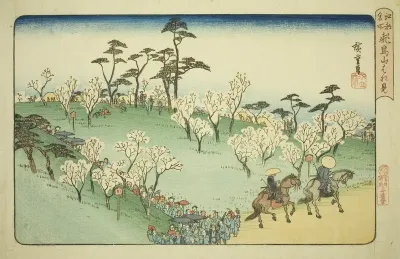 Viewing Cherry Blossoms at Asuka Hill (Asukayama hanami), from the series "Famous Places in Edo (Koto meisho)"