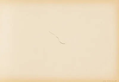 (viiva)