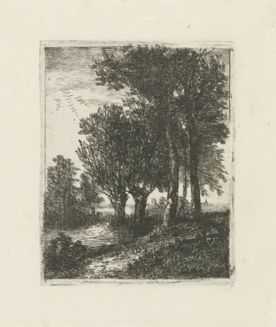 Vijf bomen aan de waterkant