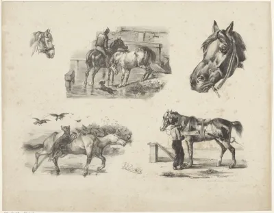 Vijf paardenstudies