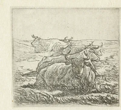 Vijf rustende koeien