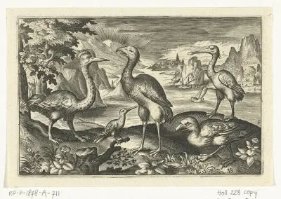 Vijf vogels waaronder lepelaar
