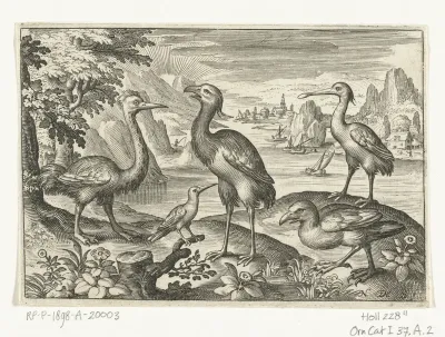 Vijf vogels waaronder lepelaar