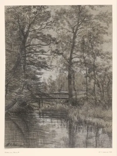 Vijver in bos