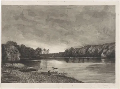 Vijver met twee reigers