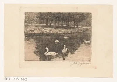 Vijver met zwanen