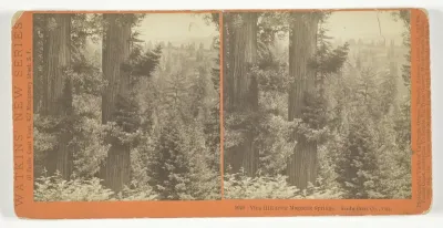 Vine Hill from Magnetic Springs. Santa Cruz Co., Cal. , No. 5024 from the series "Watkins' New Series"