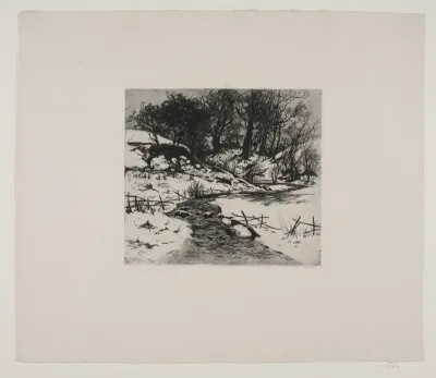 Vinter vandløb ved en skov