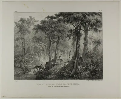 Virgin Forest near Manqueritipa in the Province of Rio de Janeiro, plate 3 from Landscapes, volume 1 of Voyage pittoresque dans le Brésil