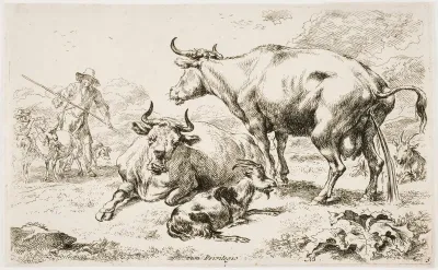 Virtsaava lehmä (La vache couchée près de la vache qui pisse