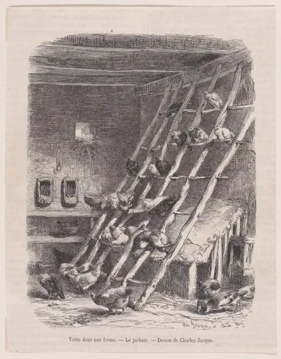 Visit to a Farm — The Roost, from "Le Magasin Pittoresque"