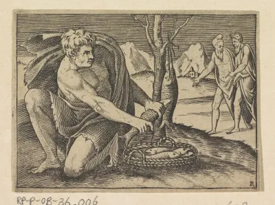 Visser