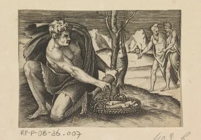 Visser