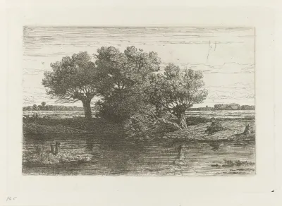 Visser bij knotwilgen