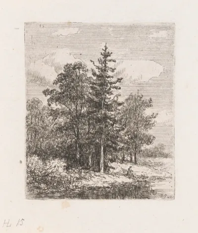 Visser voor een groep bomen