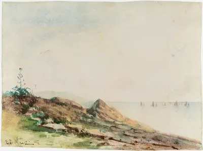 Vista
