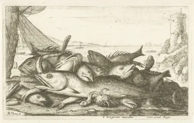 Visvangst met heremietkreeft