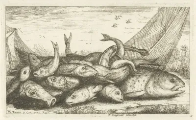 Visvangst op het gras