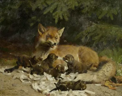 Vixen with puppy at the edge of the forest